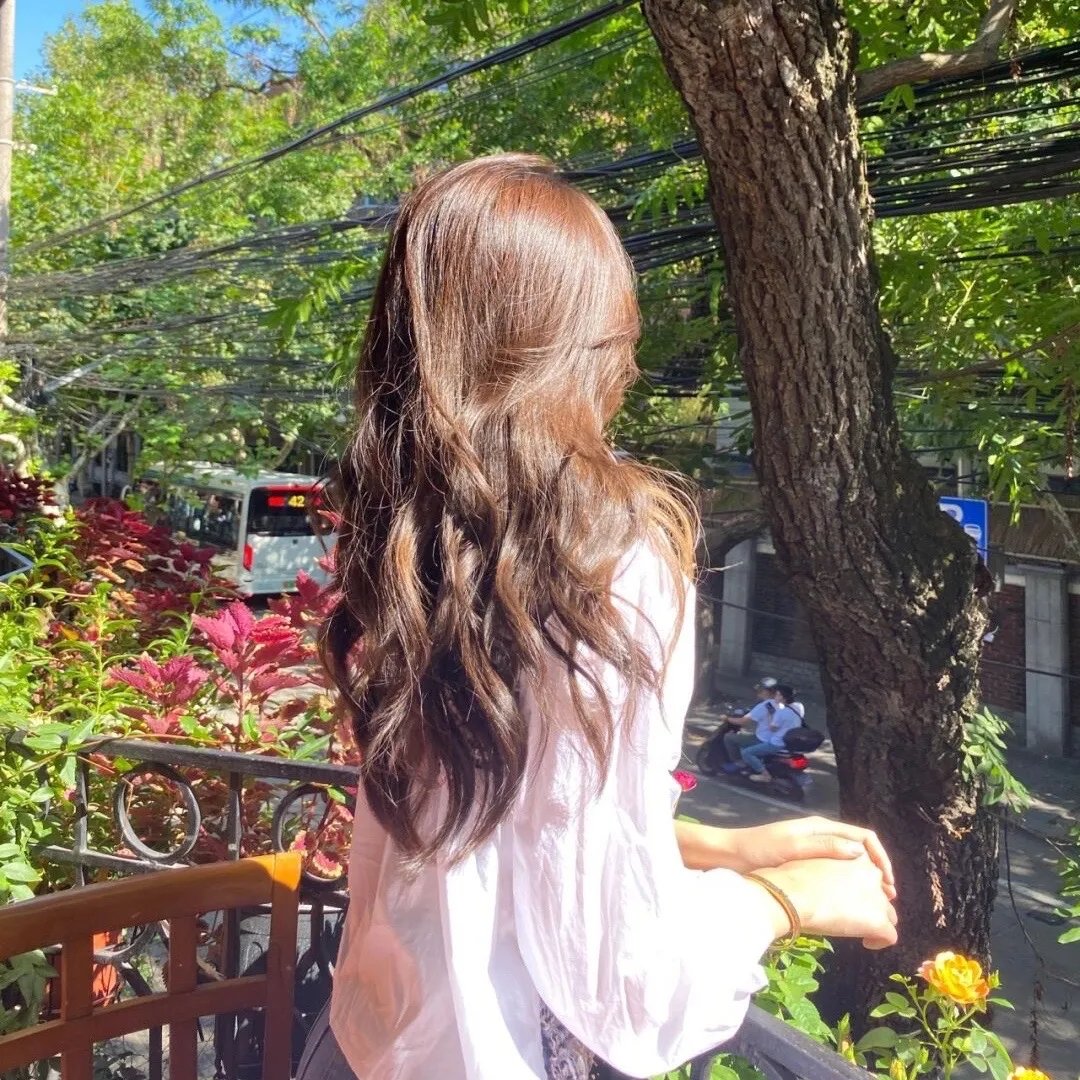 蜻蜓高清封面