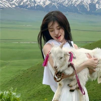 两傻大战隐形人高清封面