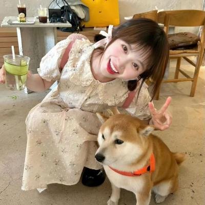 车手